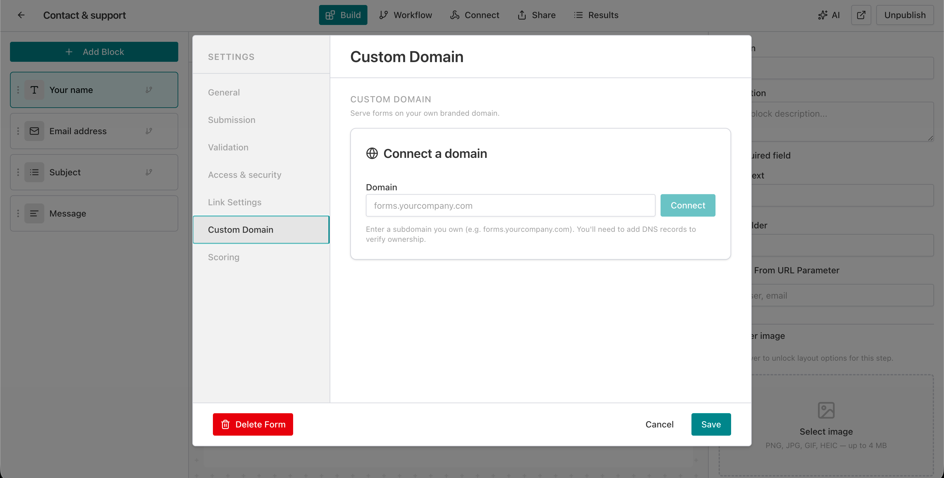 Custom Domain settings panel with domain input